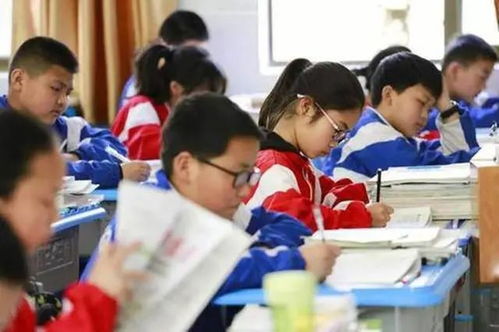 平顶山中小学生课后服务到底收费多少？权威解答在这里